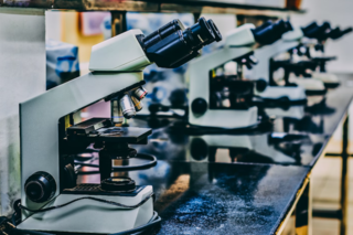 Line of microscopes on a table in a lab.