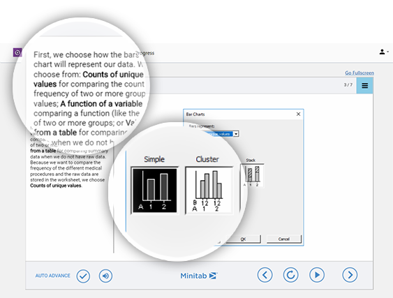 Minitab Statistical Software 解释条形图和变量。